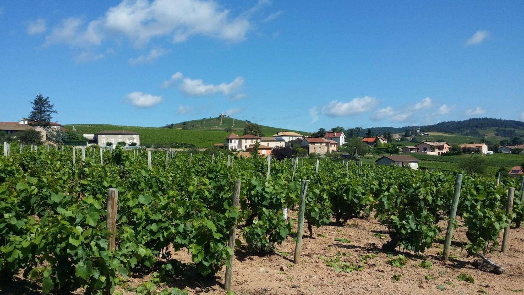 Logis Hotel Des Grands Vins Fleurie Bagian luar foto