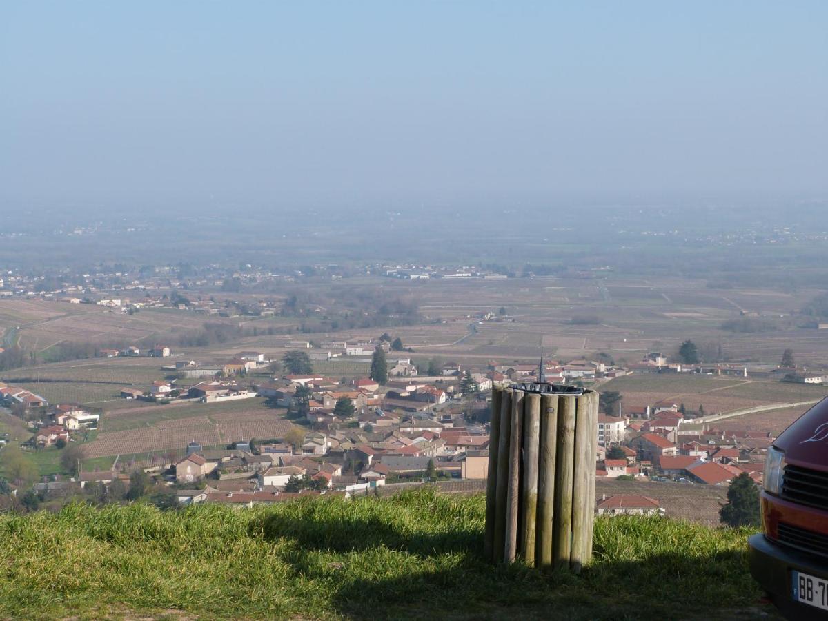 Logis Hotel Des Grands Vins Fleurie Bagian luar foto